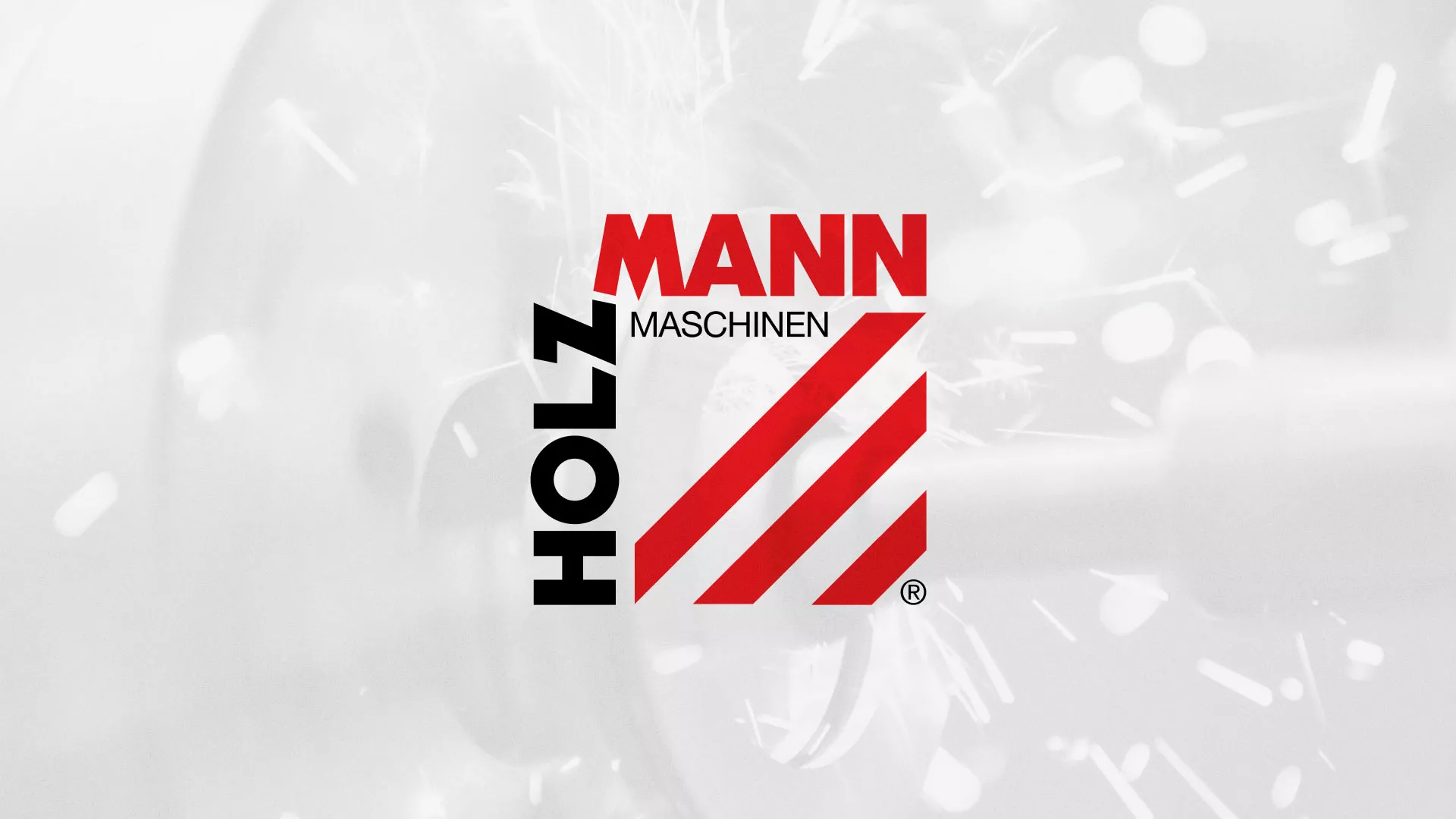 Создание сайта компании «HOLZMANN Maschinen GmbH» в Лосино-Петровске